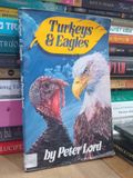  Turkey and Eagles - Peter Lord 