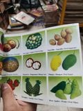  120 Recipes Delicious VietNamese - 120 Món Ăn Ngon Việt Nam 