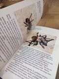  A Color Guide to Tarantulas of the World - Russ Gurley 