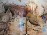  Lascaux le Geste,l'espace Et le Temps 