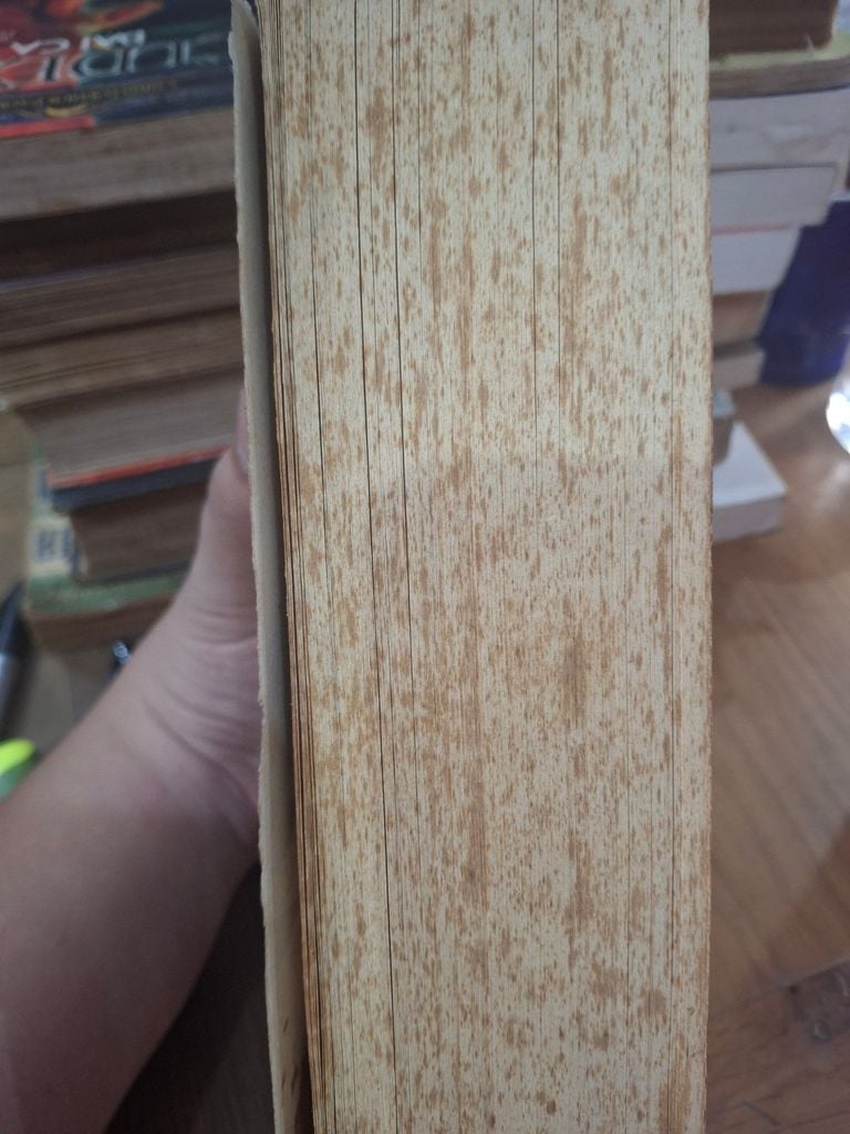  Breaking Dawn - Stephenie Meyer ( Tiếng Anh ) 