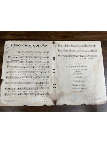  Tiếng Chim Gọi Đàn - Hoàng Quý 