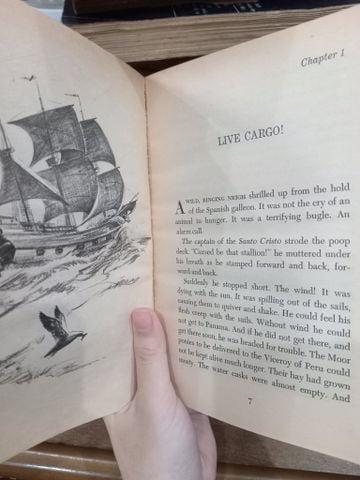  Misty of chincoteague - Marguerite Henry 