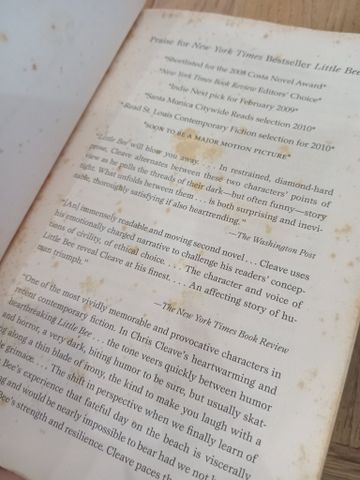Little Bee - Chris Cleave