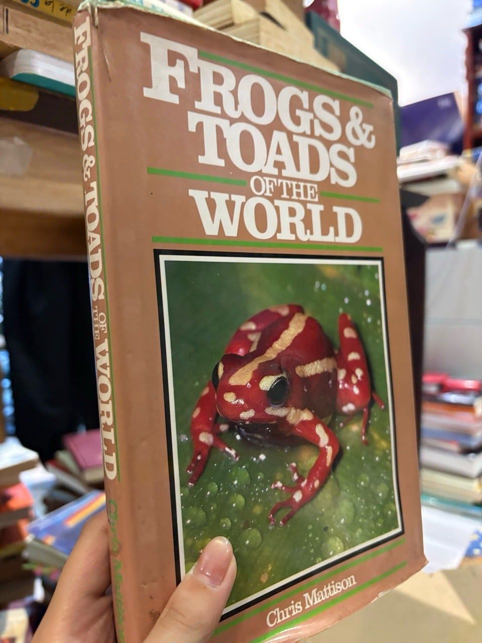  Frogs & toads of the world - Chris Mattison 