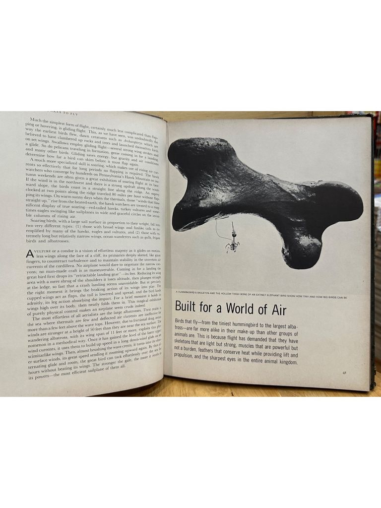  LIFE Nature Library : The Birds 