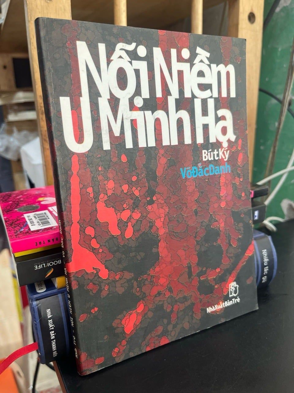  Nỗi niềm u minh hạ - Võ Đắc Danh 