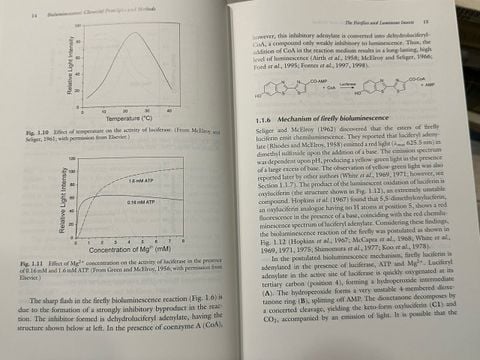  Bioluminescence - Osamu Shimomura 