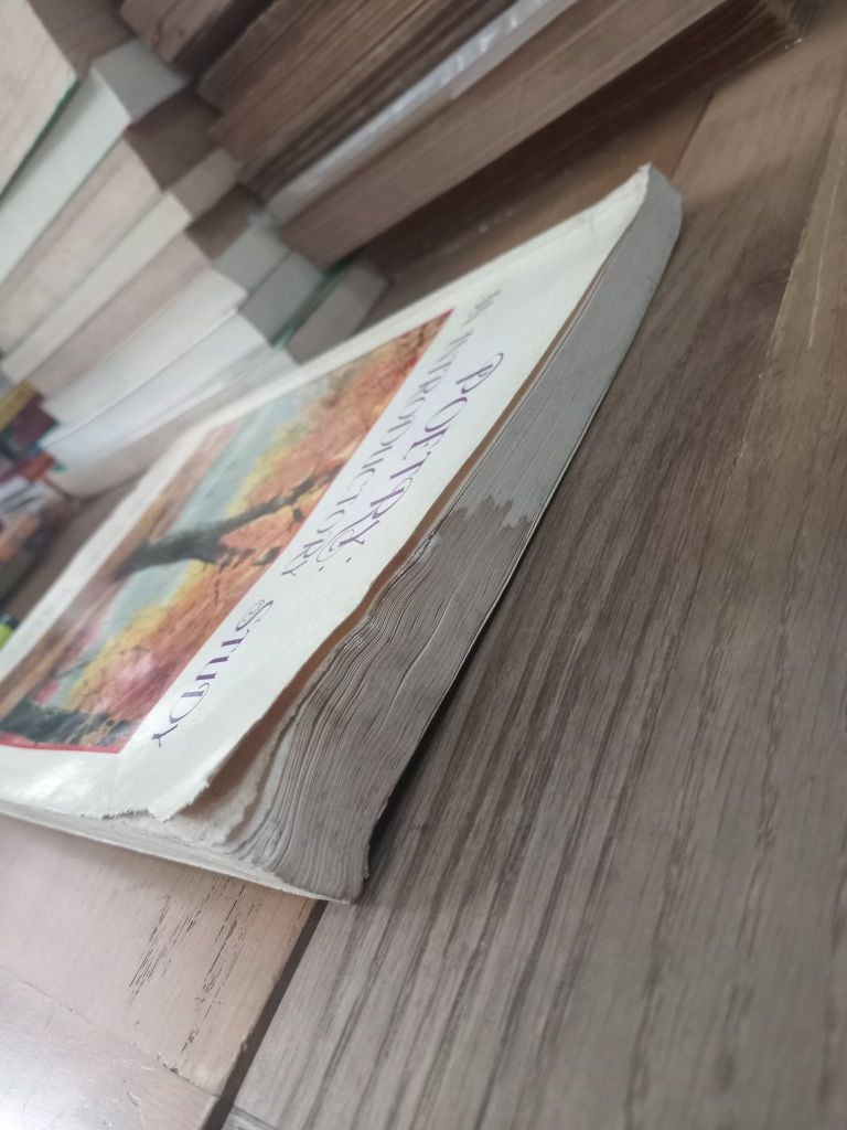  Poetry: An Introductory Study - Surapeepan Chatraporn 