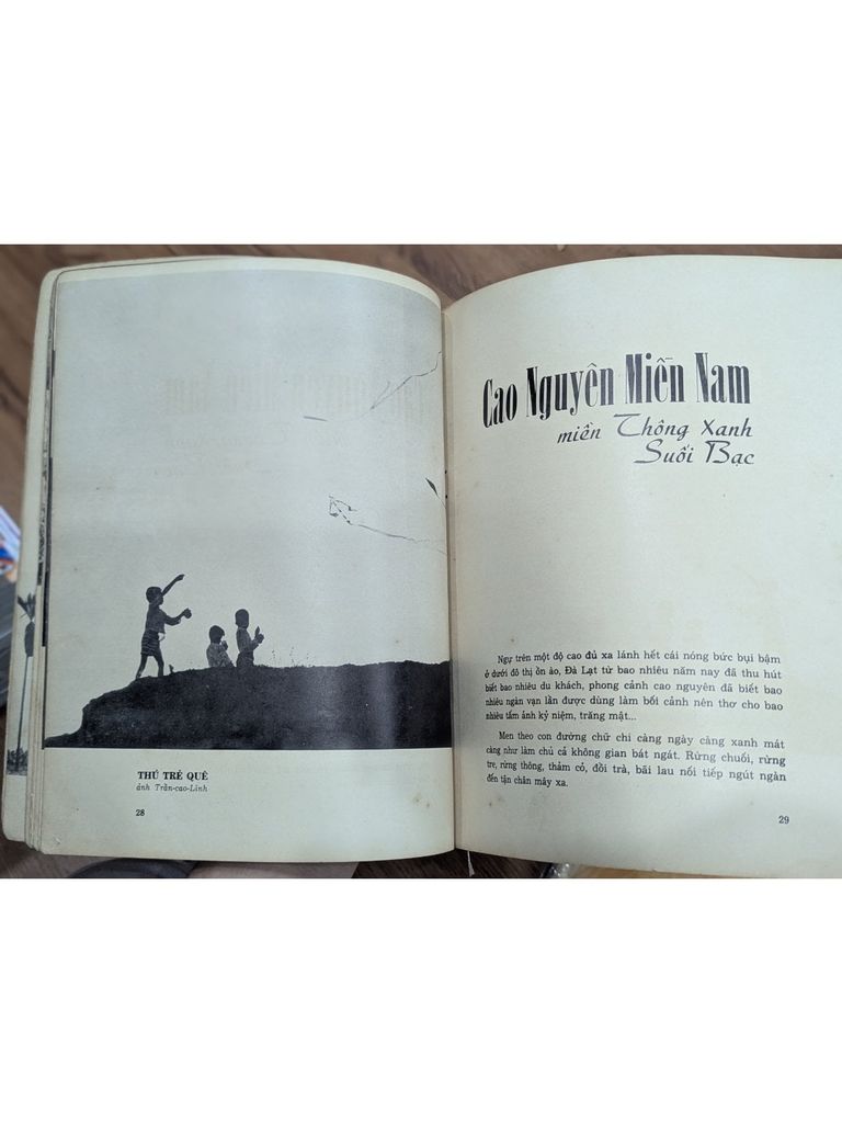  Việt Nam Quê Hương Yêu Dấu - Nguyễn Cao Đàm, Trần Cao Lĩnh 