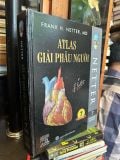  Atlas giải phẫu người - Frank H.Netter,MD 