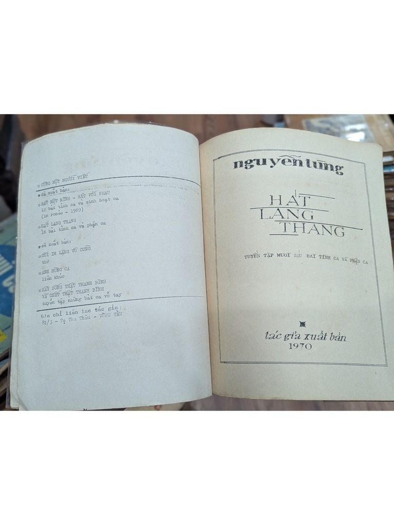  Hát Lang Thang - Nguyễn Tùng 