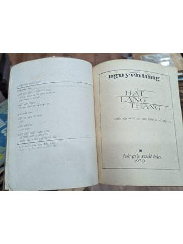  Hát Lang Thang - Nguyễn Tùng 