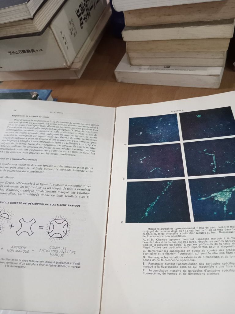  La Rage Techniques De Laboratoire - Atanasiu, Dean, Habel, Johnson, Kaplan, Karakujumčan, Koprowski, Lépine, Pariz, Seligmann, Solov'Ev, Tierkel, Wiktor 