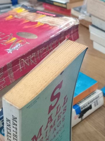  Small crimes in an ages of abundance - Matthew Kneale 