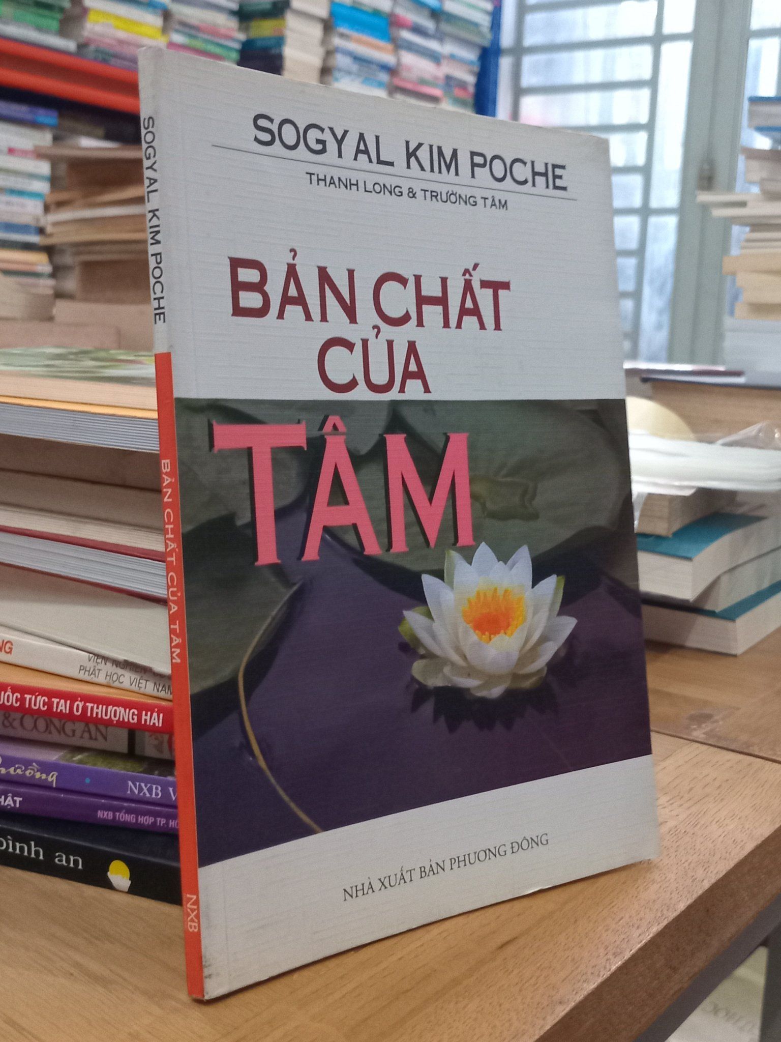  Bản chất của Tâm - Sogyal Kim Poche ( Thanh Long & Trường Tâm dịch ) 
