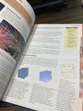  A2 Chemistry (Advanced Chemistry Series) - Andrew Hunt 