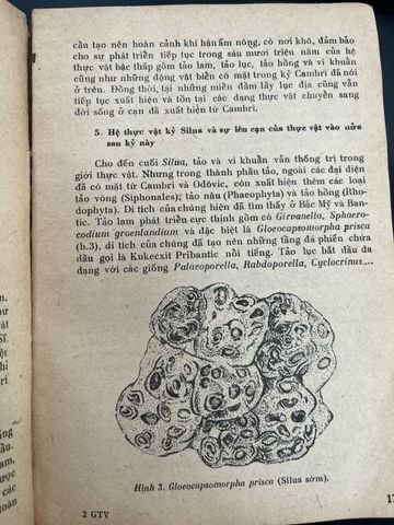 Giới thực vật trong lịch sử trái đất - Trịnh Dánh 