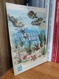  Chuyện Lạ Dưới Biển - Nguyễn Khắc Hường 