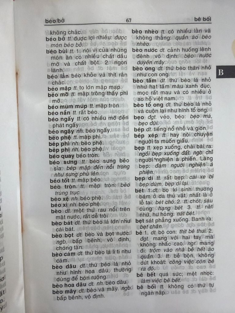  Từ Điển Tiếng Việt 2001 - Bùi Quang Tịnh, Bùi Thị Tuyết Khanh 
