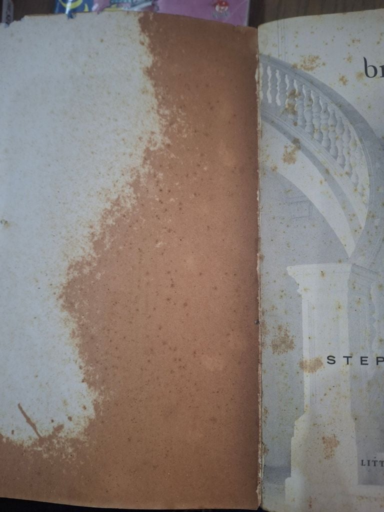  Breaking Dawn - Stephenie Meyer ( Tiếng Anh ) 