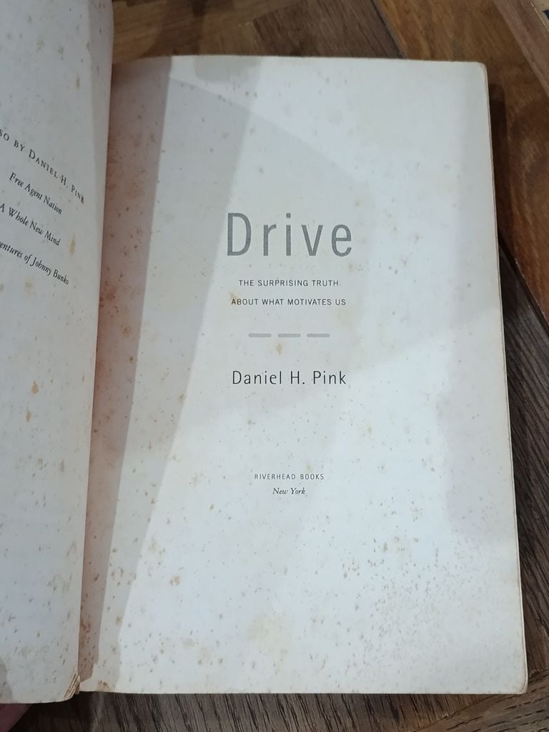  Drive: The Surprising Truth About What Motivates Us - Daniel H. Pink 