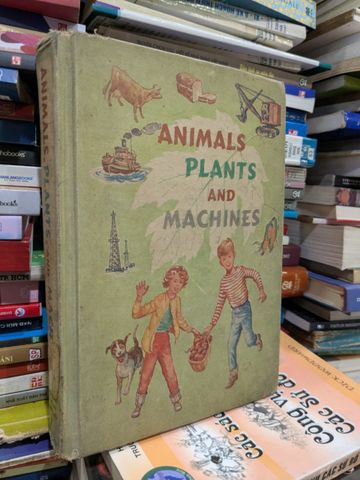  Animals Plants and Machines 