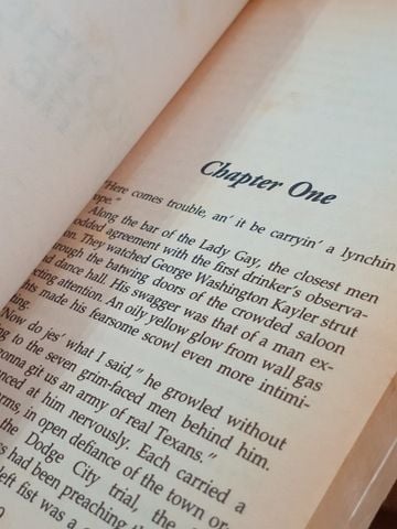  Brothers of the gun - Cotton Smith 