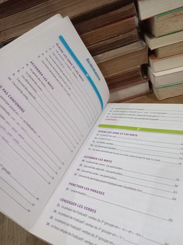  1000 exercices d'orthographe, de grammaire et de conjugaison - Larousse 