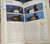  Stokes Field Guide To Birds - Donald And Lillian Stokes 