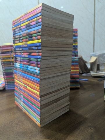  Pokemon hành trình Johto ( truyện chữ ) 