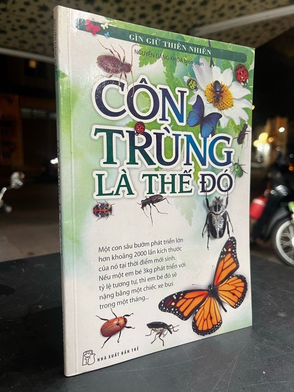  Côn trùng là thế đó - Nguyễn Đăng Khoa 