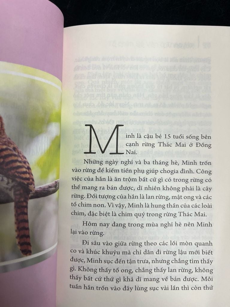  Truyện Chim - Xuyên Vũ 