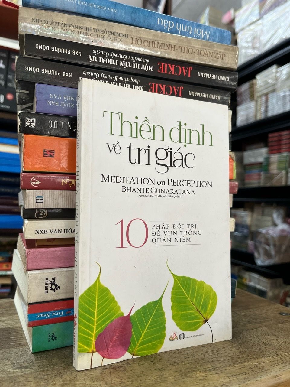  Thiền định về tri giác - Bhante Gunaratana 