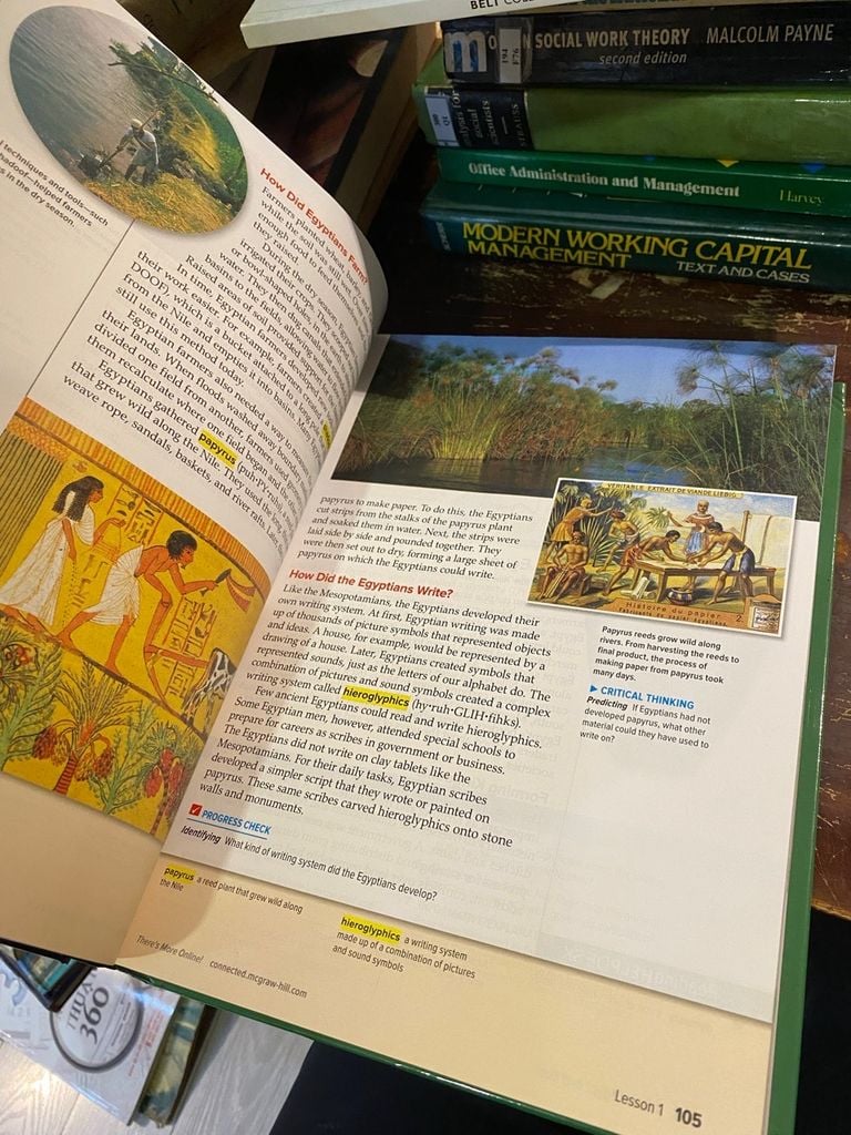 Discovering Our Past: A History of the World 