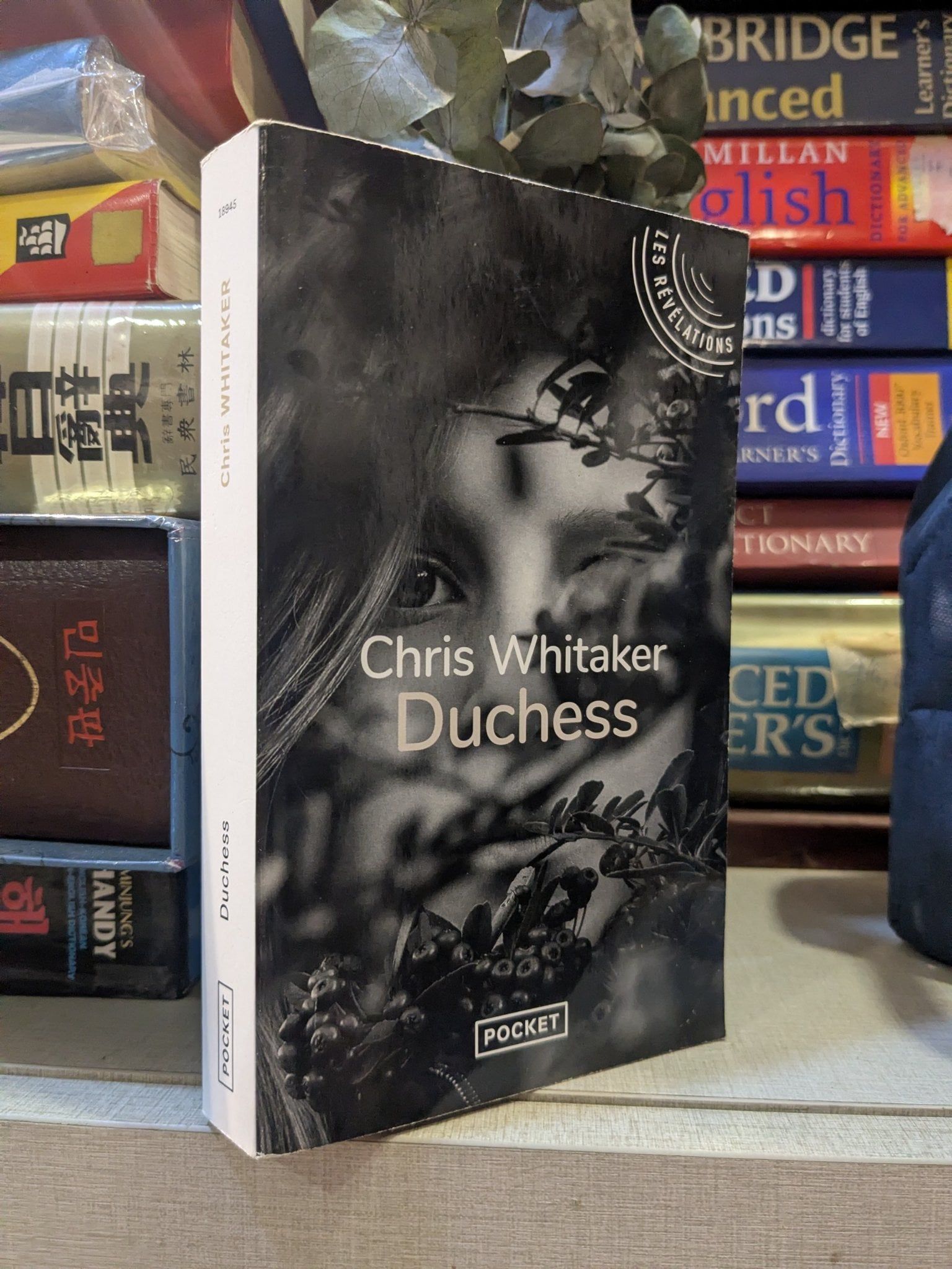  Duchess - Chris Whitaker 