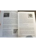  Essays On Modern And Contemporary Vietnamese Art 