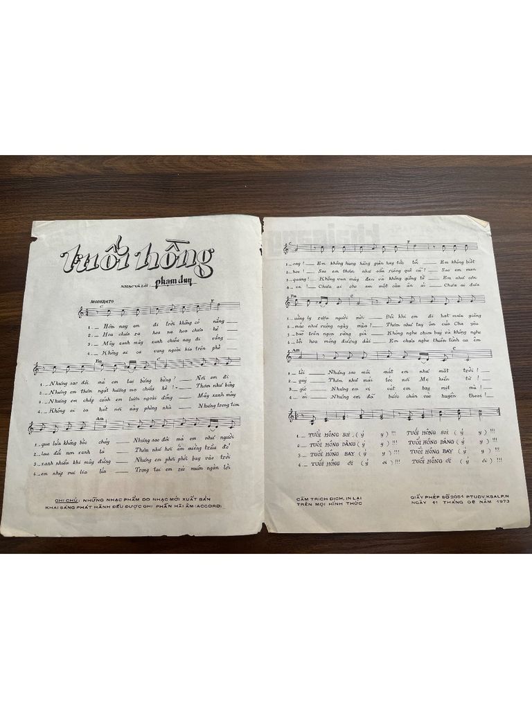  Tuổi Hồng - Phạm Duy 