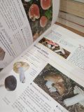  Grand guide encyclopédique des Champignons 