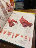  The Complete Human Body - Alice Roberts 