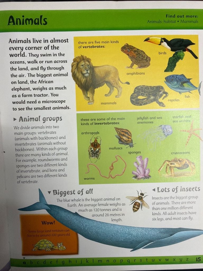  Children's A To Z Encyclopedia 