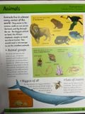  Children's A To Z Encyclopedia 