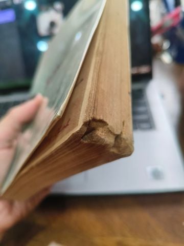  Một Quan Niệm Về Sống Đẹp - Lâm Ngữ Đường 