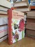  Guide Des Orchidées De France, De Suisse Et Du Benelux - Pierre Delforge 