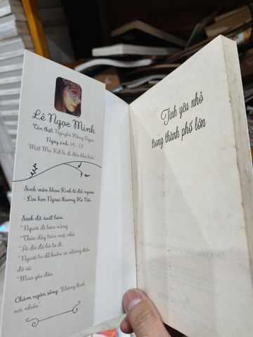  Tình Yêu Nhỏ Trong Thành Phố Lớn - Lê Ngọc Minh 