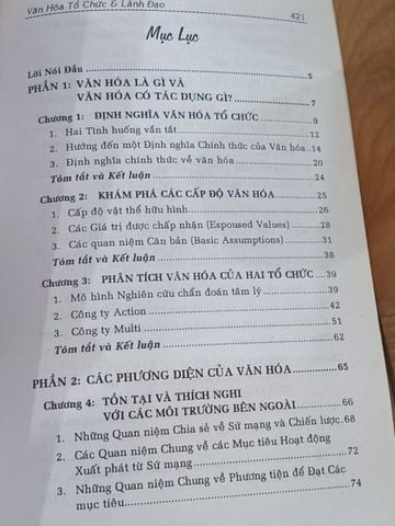 Văn Hóa Tổ Chức và Lãnh Đạo - Nguyễn Văn Dung, Phan Đình Duyền, Lê Việt Hưng