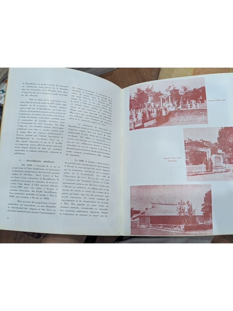  Phat Giao Viet Nam - Chanh Tri, Mai Tho Truyen 