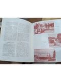  Phat Giao Viet Nam - Chanh Tri, Mai Tho Truyen 