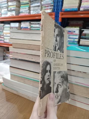  Profiles of American youth 