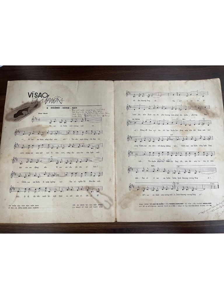  Vì Sao Em Buồn - Hoàng Song Nhị 